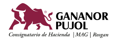 Logo Gananor Pujol